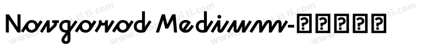 Novgorod Medium字体转换
